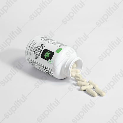 Digestive Enzyme Pro Blend supplement supporting digestion and gut health for healthy living beginners